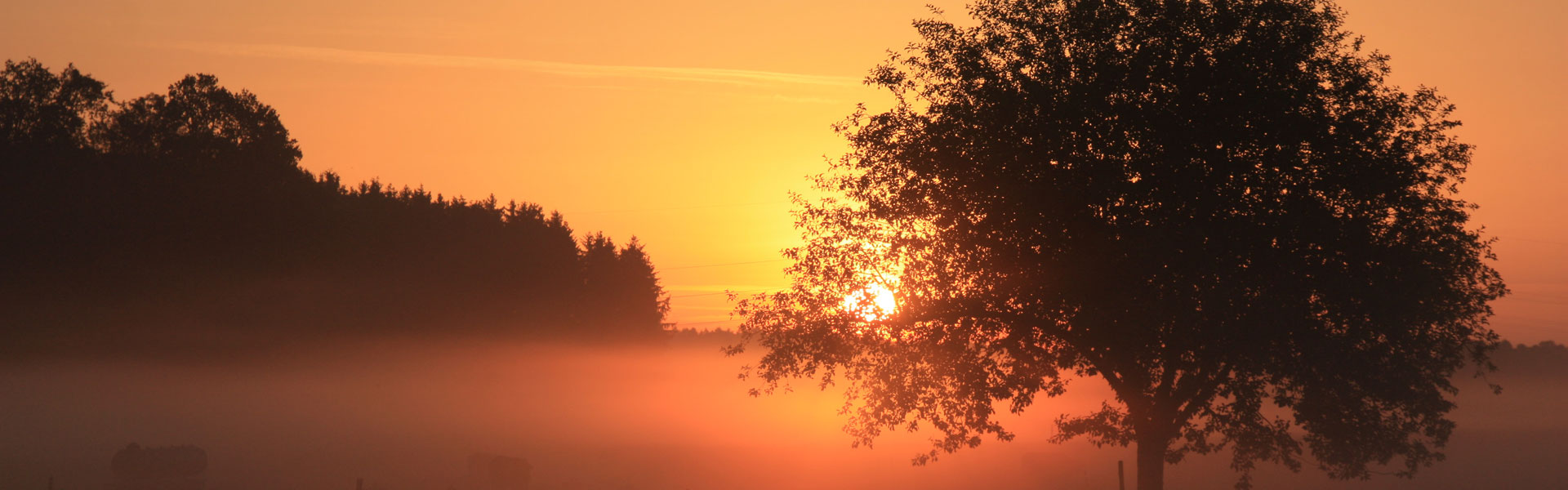 Header Gemeinde 001