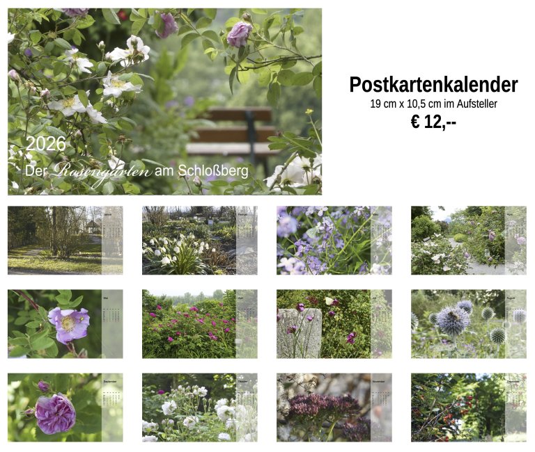 Rosengarten im Oktober 2025