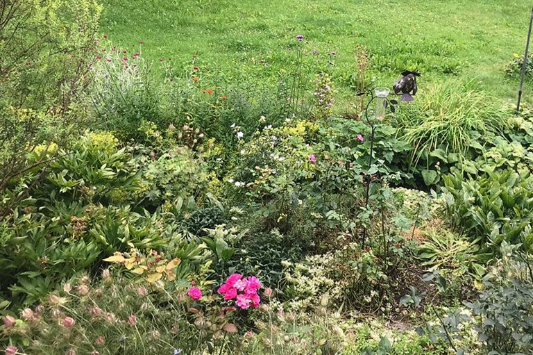 Wie wird aus meinem Garten ein Naturgarten?