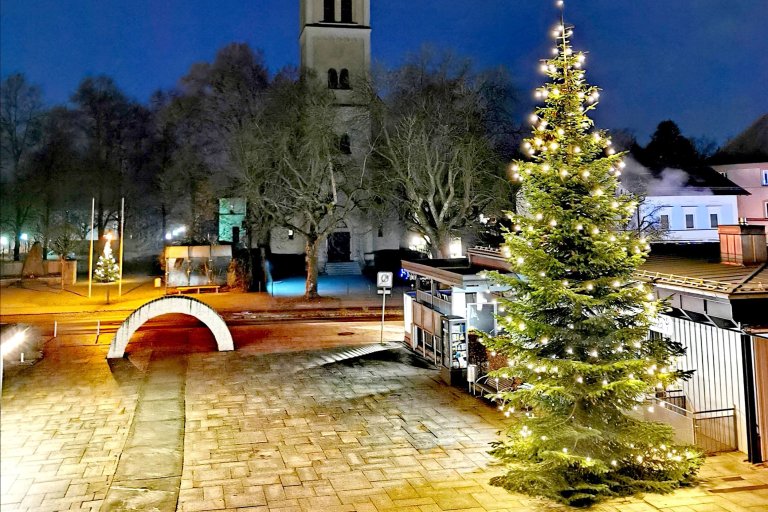 Christbaumspender gesucht!